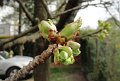 DSC00288 00